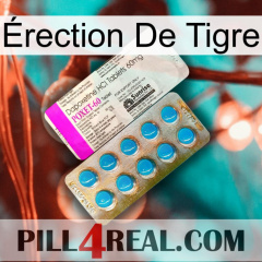 Érection De Tigre new07